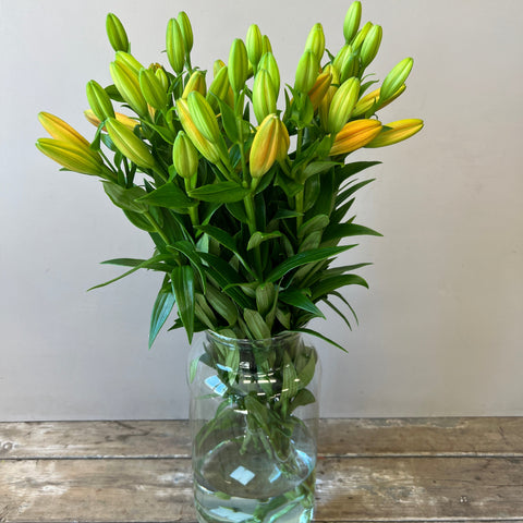 Lily LA - Orange x 5 stems