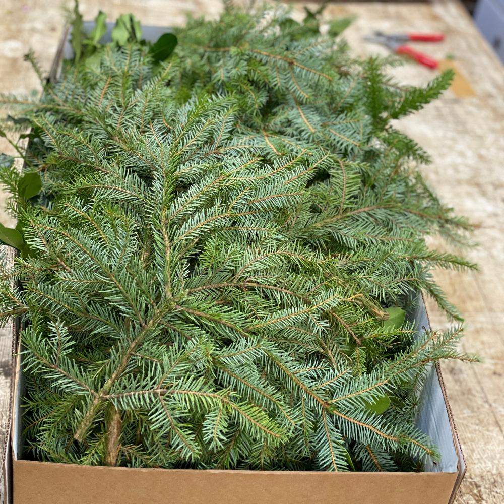 Wreath - Making Mixed Foliage Box ***SPECIAL OFFER***