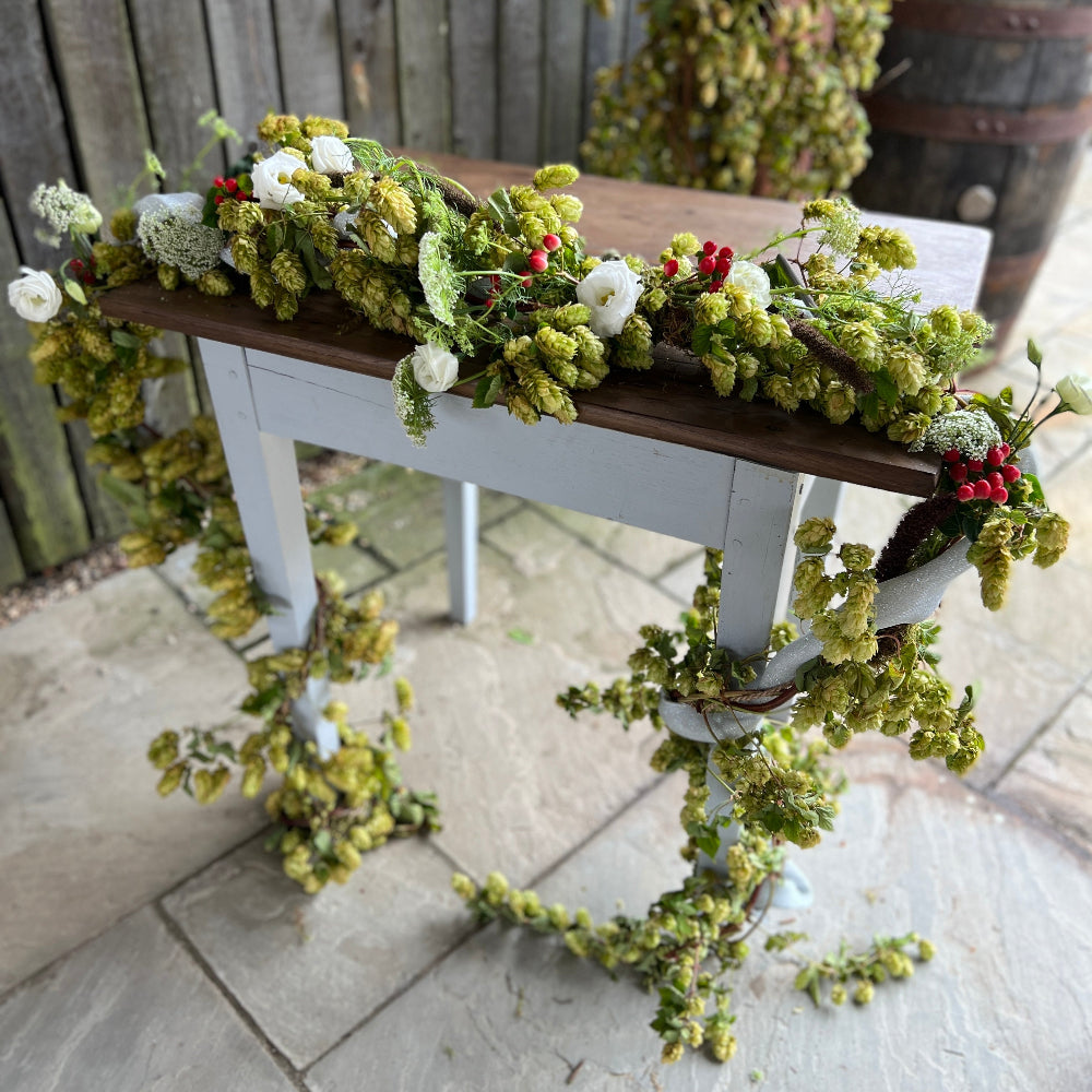 rustic pub wedding hops décor

fresh hop vines Kent grown
