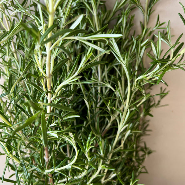 Rosemary - Bunch