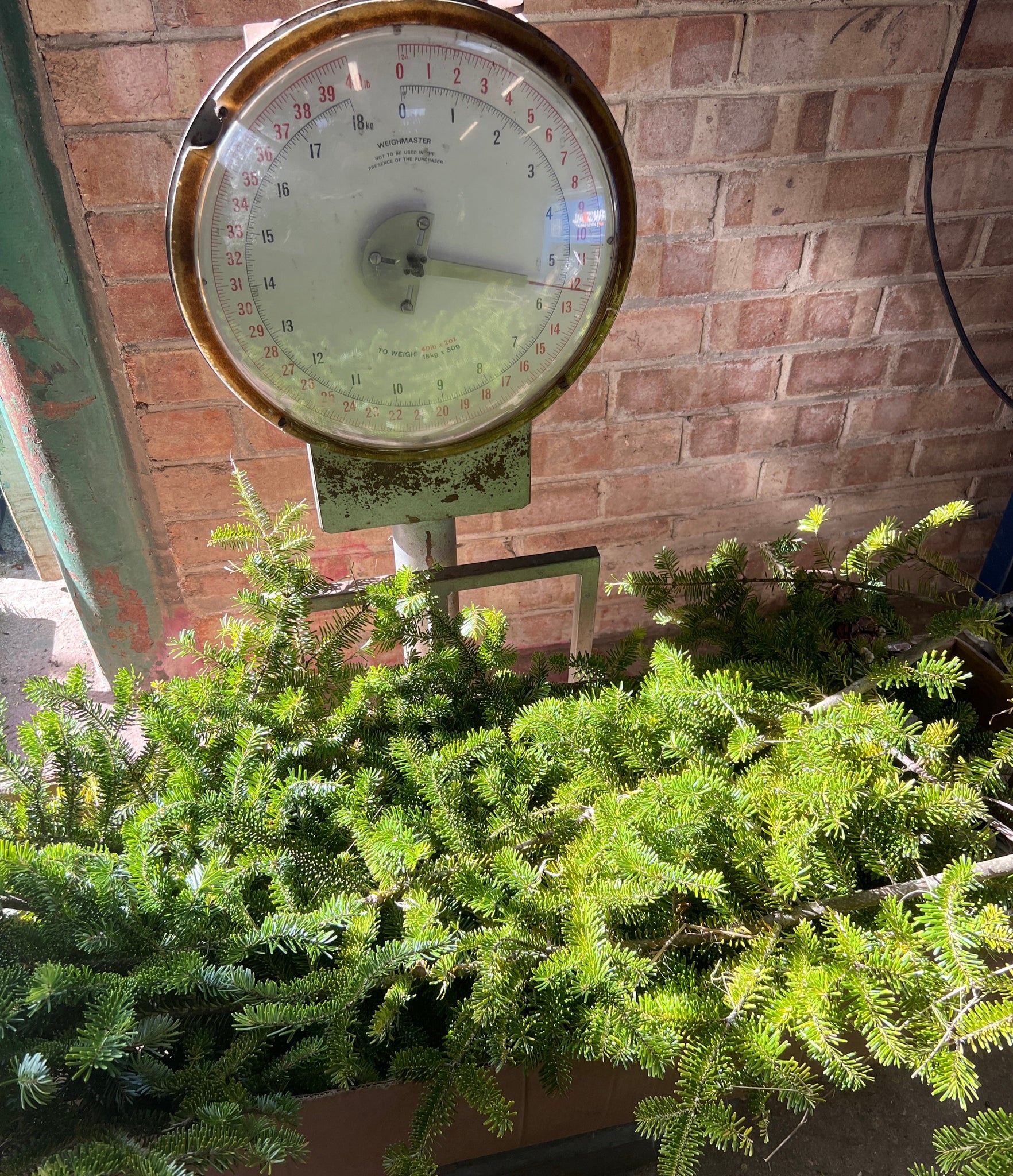 Wreath Making Foliage Box ***SPECIAL OFFER***