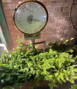 Wreath Making Foliage Box ***SPECIAL OFFER***