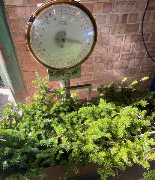 Wreath Making Foliage Box ***SPECIAL OFFER***