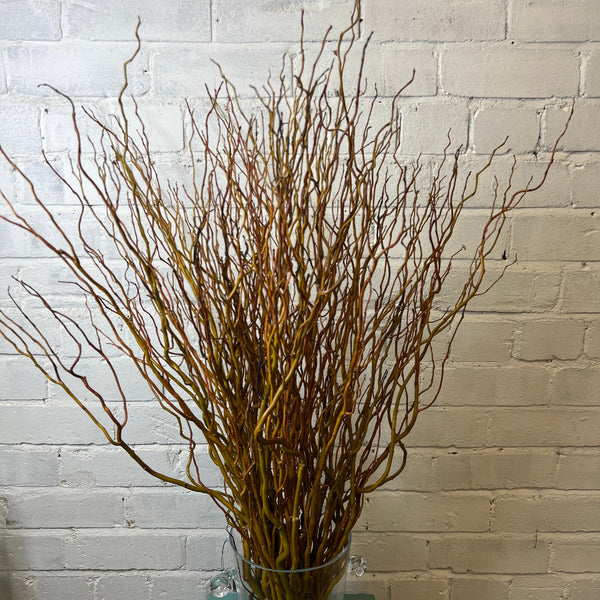 Pussy willow and wobbly willow bundle, Lincolnshire grown, 100 stems wholesale for eco-friendly floral designs