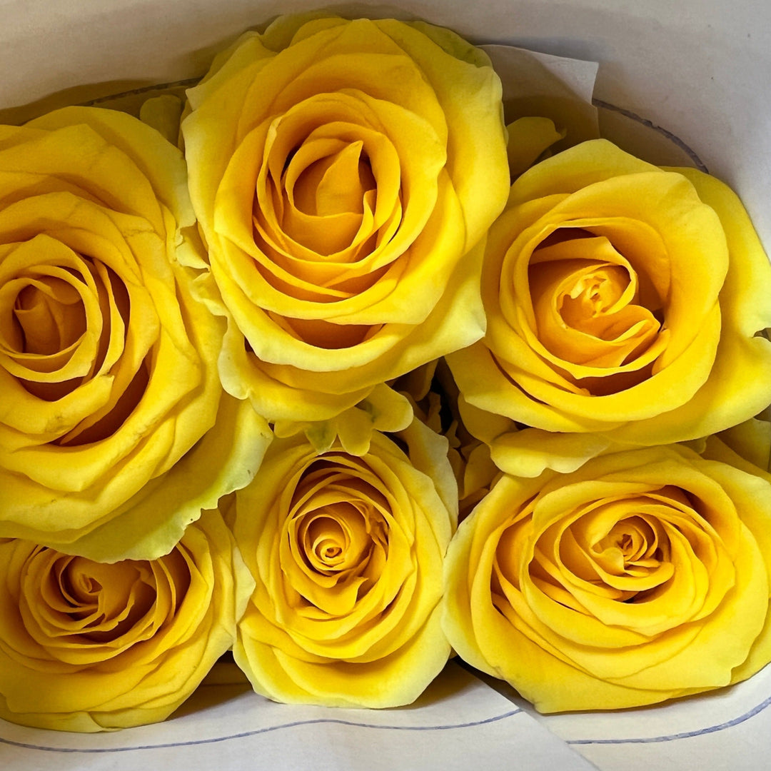 A box of imported yellow roses with large heads, arranged together.