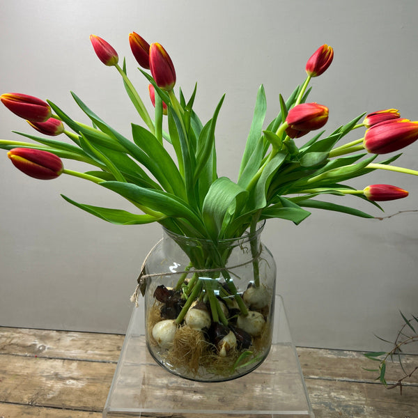 sustainable stunning tulips UK