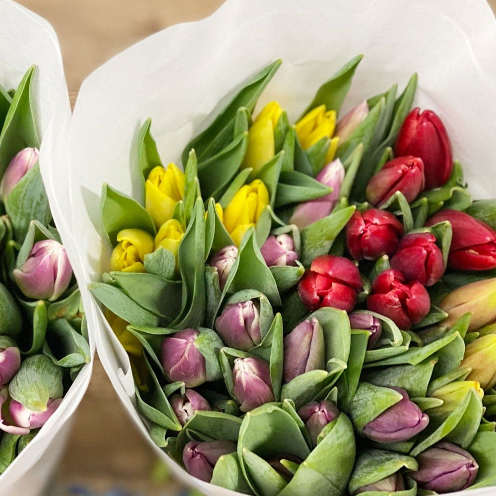 sustainable tulips online