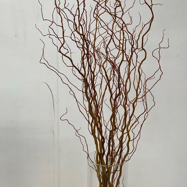 Glass vase with brown wobbly willow branches against a white background