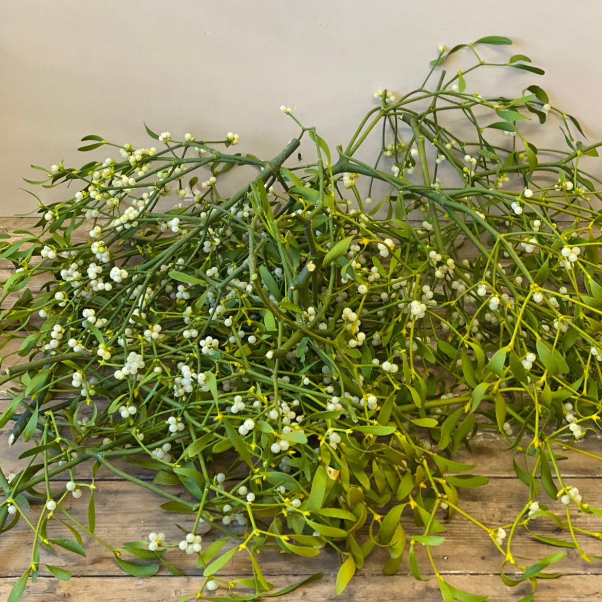 Mistletoe Loose sprigs - British by the kilo