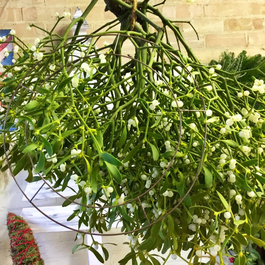 Mistletoe Heart - Bough/LARGE*** PRE-ORDER***