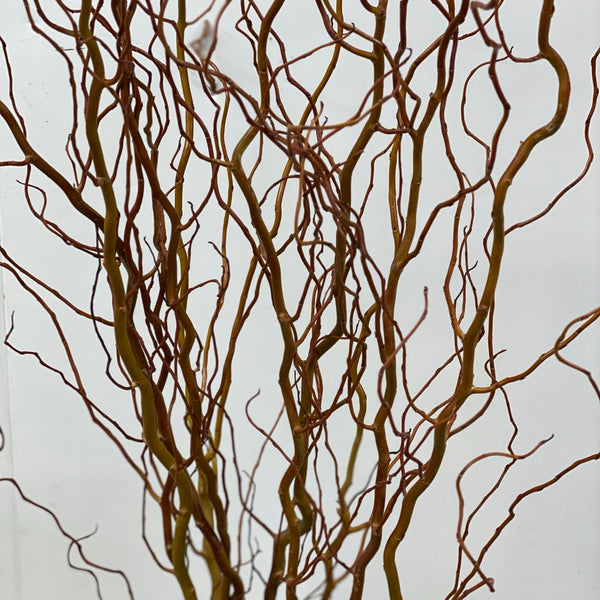 Brown wobbly willow branches against a light gray background