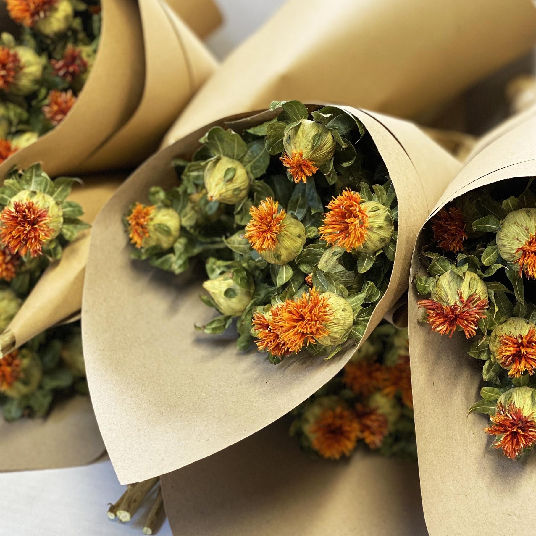 Dried - Carthamus Bunch