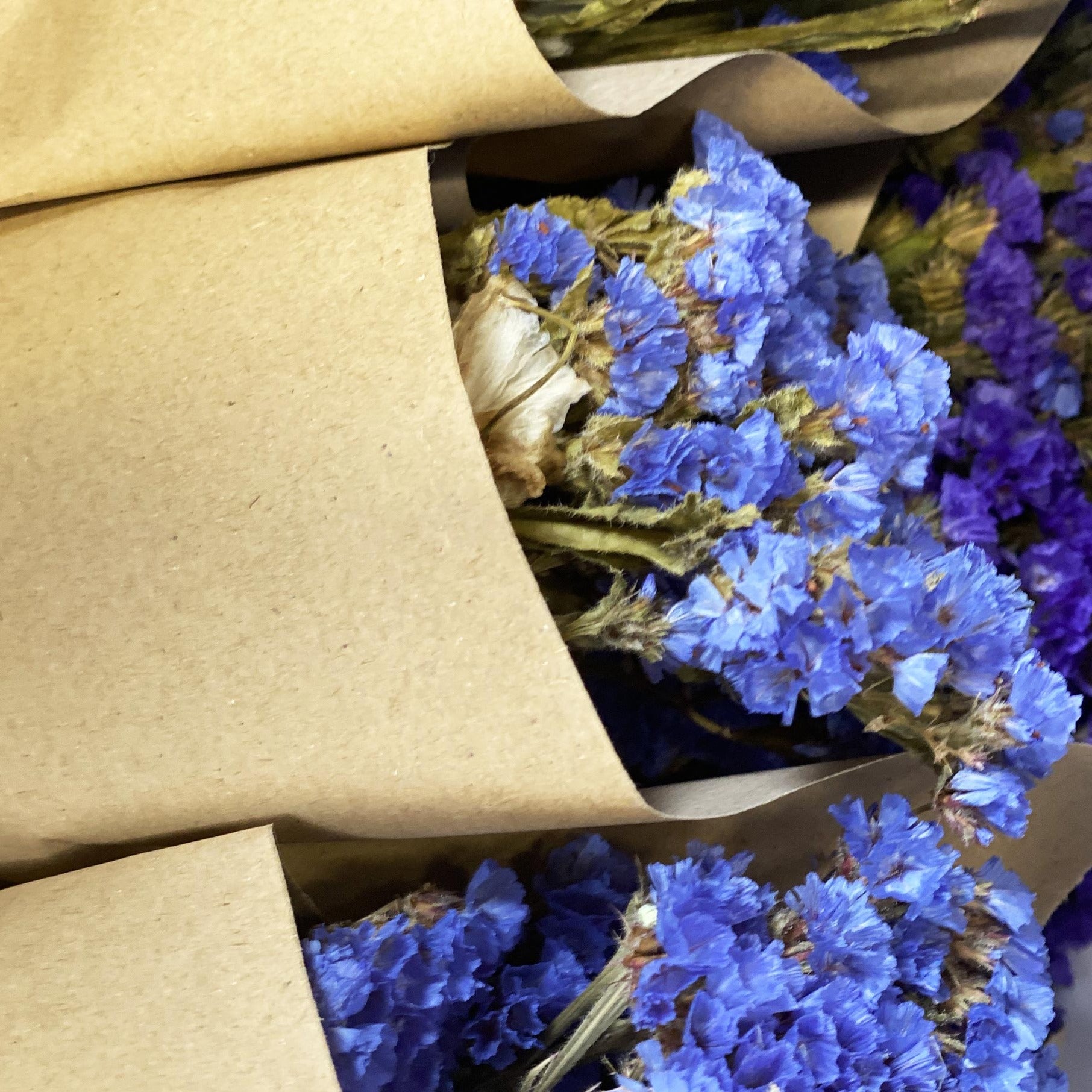 Dried Statice Bunch - loads of colours!!