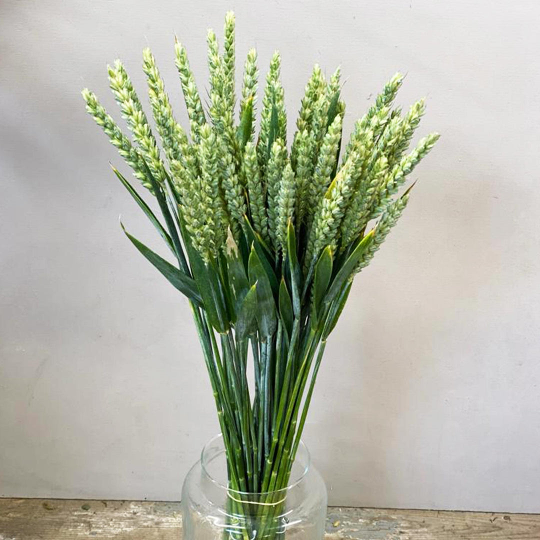 A bouquet of fresh wheat stalks with green leaves and heads, arranged in a clear glass jar vase against a neutral light gray wall.