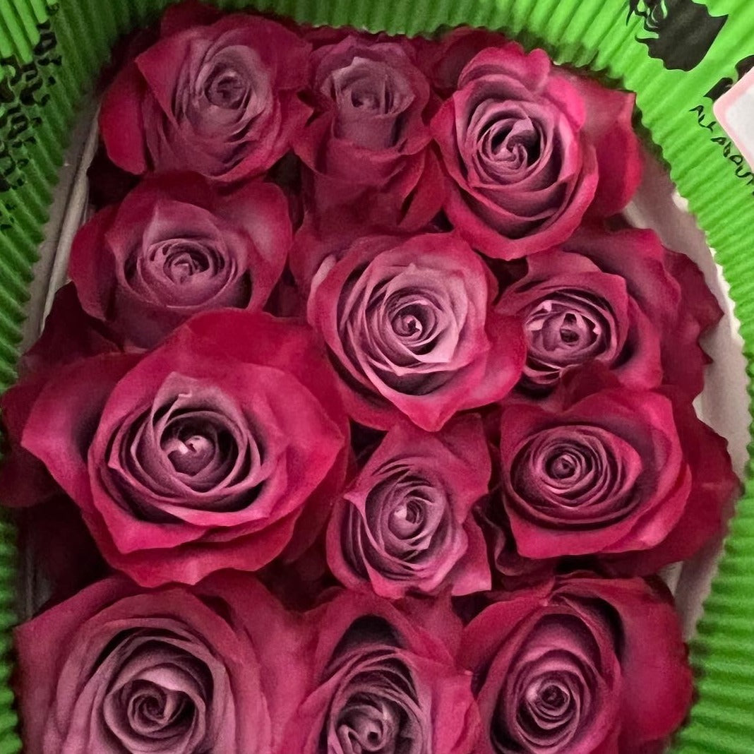 A 10-stem bunch of Colombian IMPORT Deep Purple roses with thick green stems and guard petals intact, wrapped for wholesale delivery.