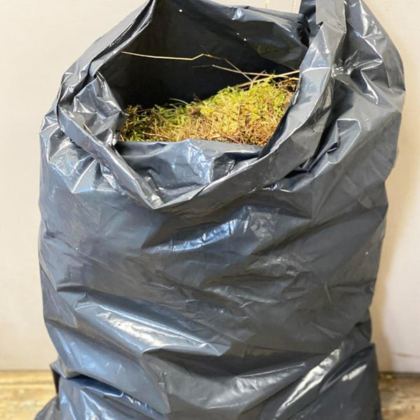 Moss Norfolk Wreath Grade Bag