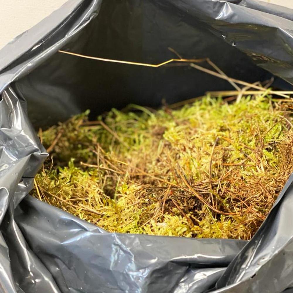 moss sale sustainable 