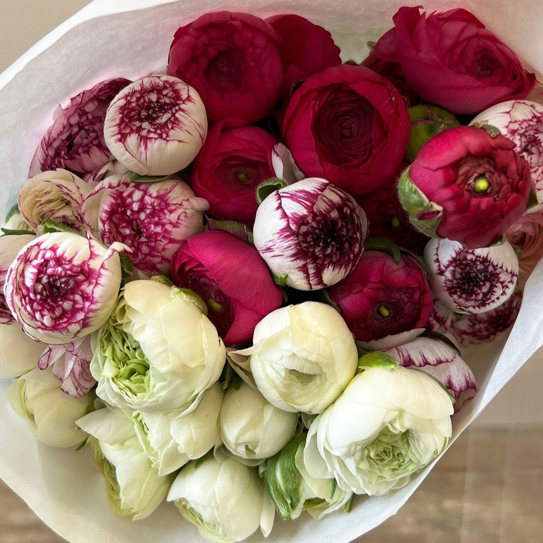 Posy Ranunculus - Pastel Mix 40 stems