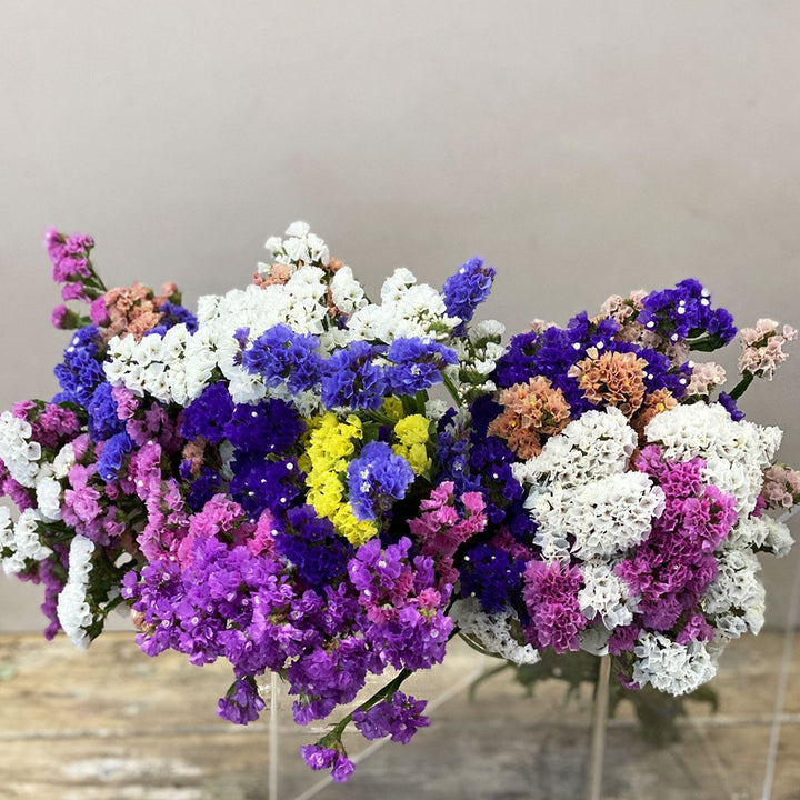 DRIED -  Statice - PURPLE/BLUE - Sinuatum 50cm - (10 or 50 stems)