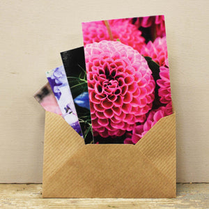 Gift Cards - The British Flower Collection - Pack of 100 cards in 4 designs